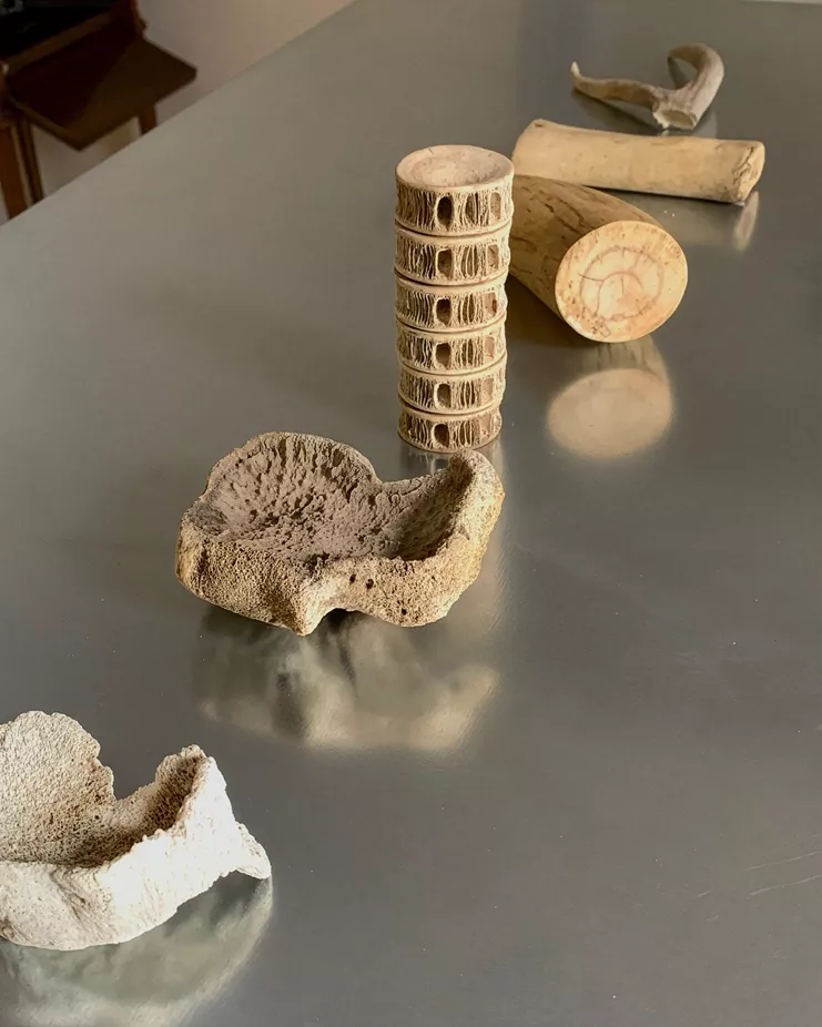 Κατερίνα Μήλεση, λεπτομέρεια εγκατάστασης με αντικείμενα της σειράς Form του Μιχάλη Λεκάκη. Ευγενική παραχώρηση της Συλλογής Τέχνης του Αμερικανικού Κολλεγίου Ελλάδος