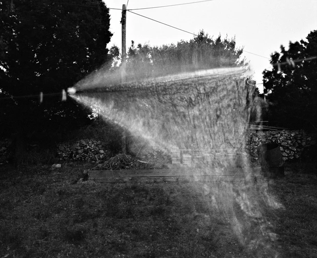 a loop a line a limbo Cornelia Mittendorfer