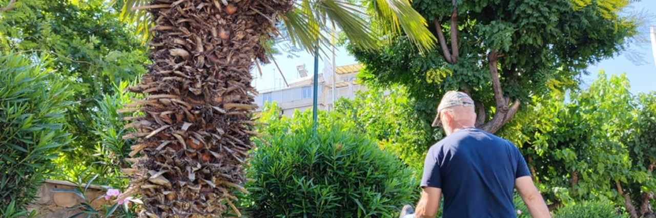 Ανάπλαση δύο δημόσιων χώρων στα Κάτω Πατήσια - εικόνα 3