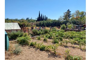 Οκτώβριος στην Ελευσίνα: Όλα όσα ετοιμάζει η 2023 Ελευσίς Πολιτιστική Πρωτεύουσα της Ευρώπης - εικόνα 1