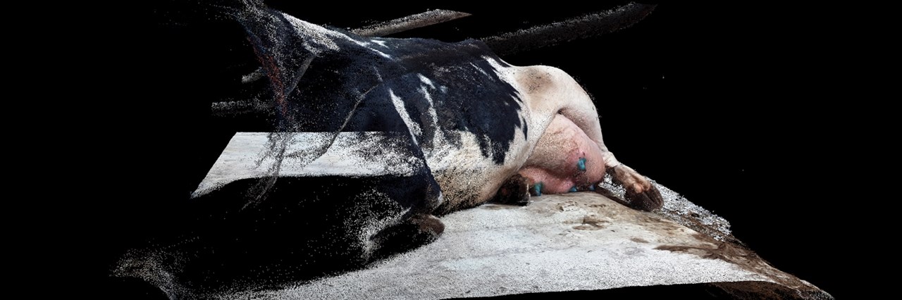 Η Kατερίνα Κατσιφαράκη χαράσσει τα "Μονοπάτια των τραγουδιών" - εικόνα 3