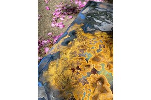 2ο Φεστιβάλ Γρίφων Καστελόριζου: Γνωρίστε τα συναρπαστικά μονοπάτια της επιστήμης - εικόνα 1