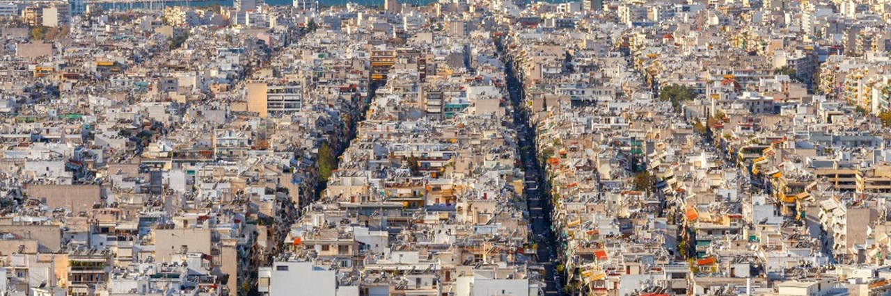 Μία δράση προστασίας της βιοποικιλότητας - εικόνα 2