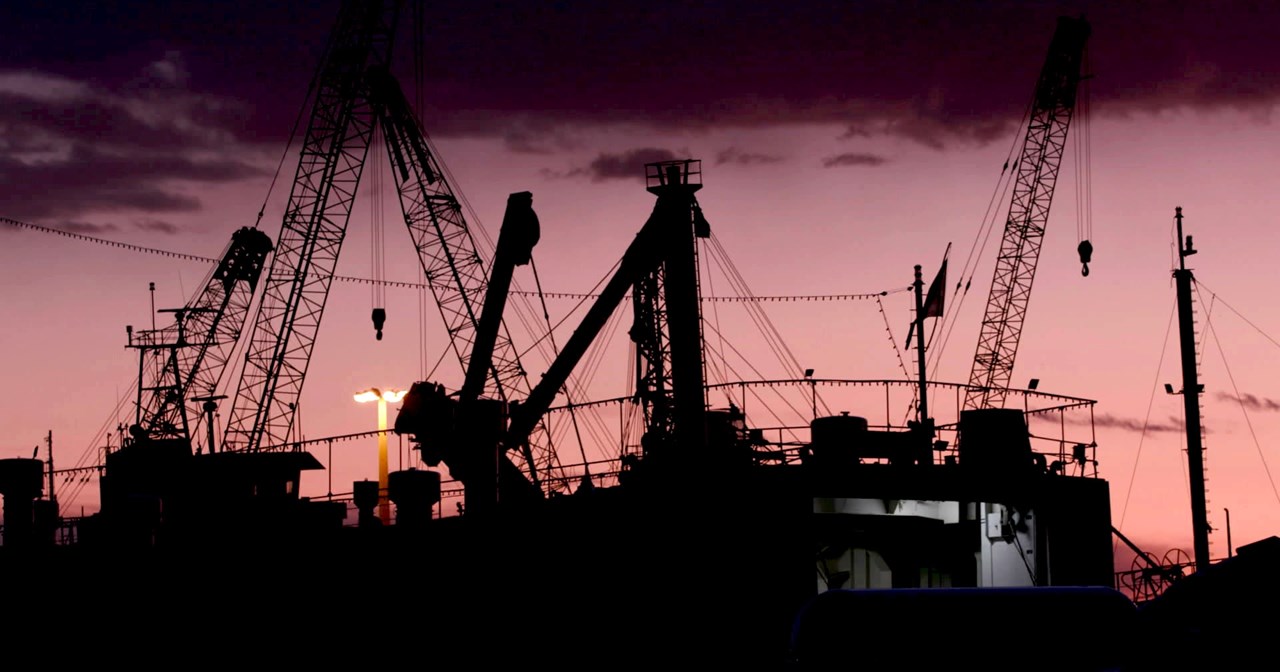 "Μυστήριο 93 Ξυλίκι": Ο κύκλος δράσεων της 2023 Ελευσίς ολοκληρώνεται με δυο ομιλίες - εικόνα 3