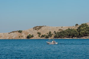 Όσα θα δούμε στο φετινό Διεθνές Φεστιβάλ Μουσικής Μολύβου - εικόνα 2