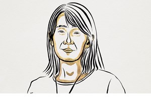 Μερικές σκέψεις για τα Νόμπελ Λογοτεχνίας, τη Χαν Γκανγκ και το Νούμερο Μηδέν - εικόνα 1