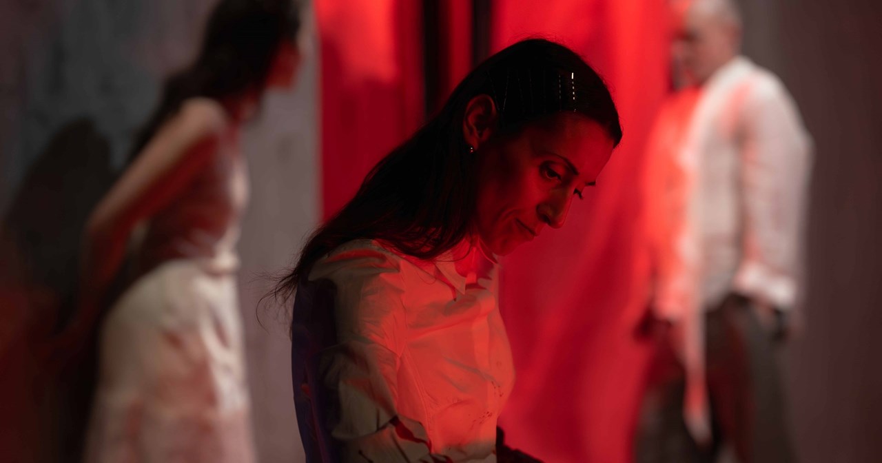 "Dorian": Εικαστική performance για τον ναρκισσισμό και το τίμημα της αιώνιας νεότητας - εικόνα 5