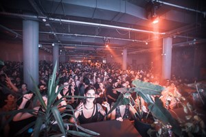 Το pre-festival live "Ρίζα στην πρίζα" έρχεται για να συζητηθεί - εικόνα 1