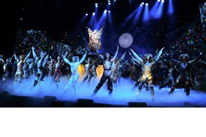 Οι συντελεστές του "Annie" μιλούν για το μιούζικαλ - φαινόμενο στο Παλλάς - εικόνα 6