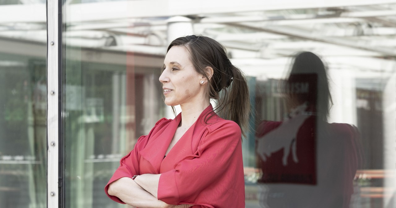 ΕΜΣΤ: Grand Finissage και νέος κατάλογος για την έκθεση Why Look at Animlas? - εικόνα 3