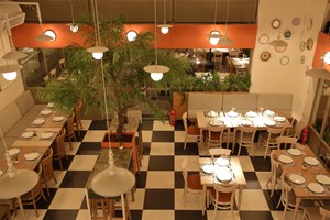 Monk’s Beard - εικόνα 5