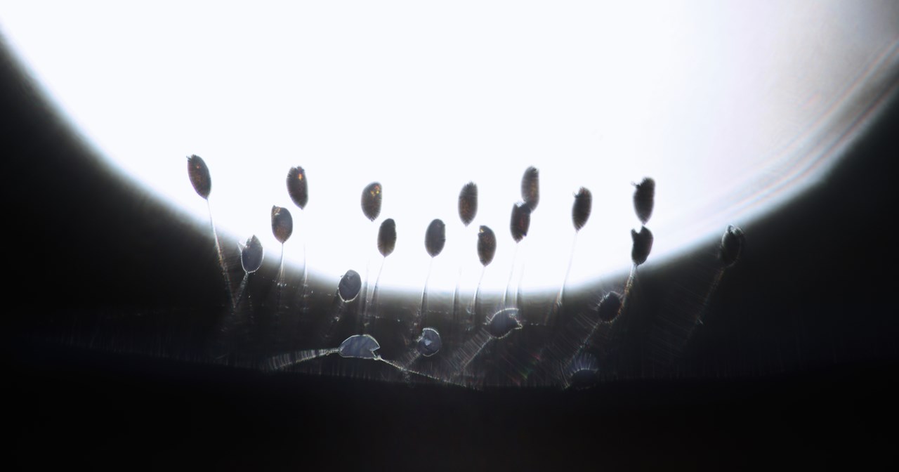 Η φωτογραφική έκθεση που θα σε ταξιδέψει σε μια άλλη Άνδρο - εικόνα 3