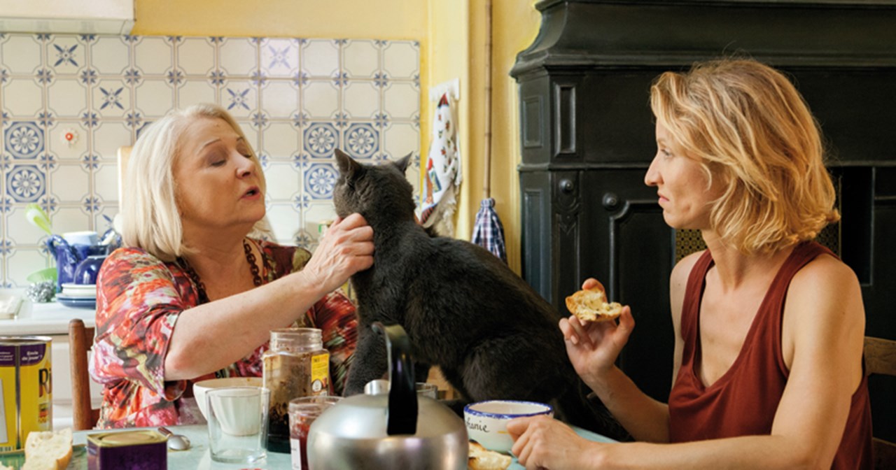 Γιορτή της Μητέρας: Ολοήμερο αφιέρωμα στη Novalife την Κυριακή 14 Μαΐου - εικόνα 8