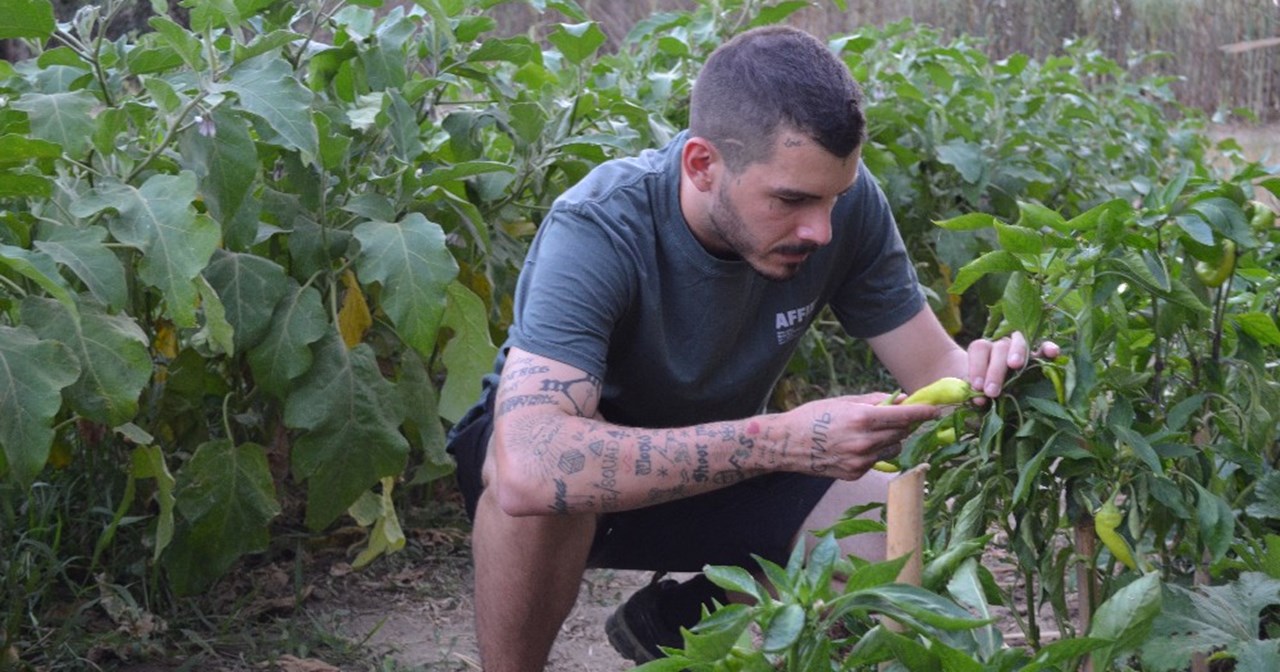 Pharaoh Fire Nights: Ο Δημήτριος Μούδιος μαγειρεύει για πρώτη φορά στην Ελλάδα - εικόνα 1