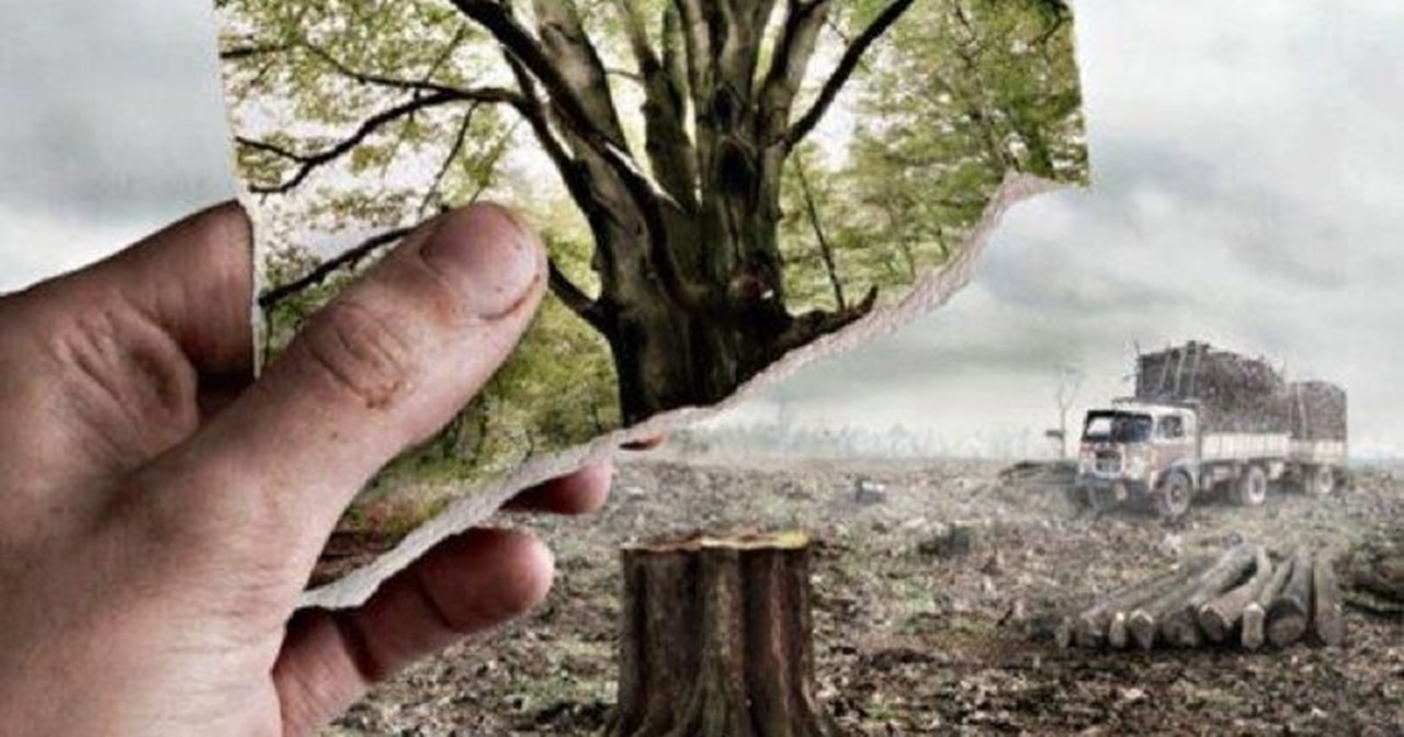 "Everyone has the right to write!": Μια νέα στήριξη για το σύγχρονο ελληνικό θέατρο - εικόνα 2