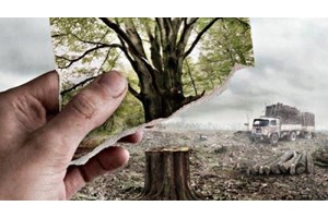 "Everyone has the right to write!": Μια νέα στήριξη για το σύγχρονο ελληνικό θέατρο - εικόνα 2