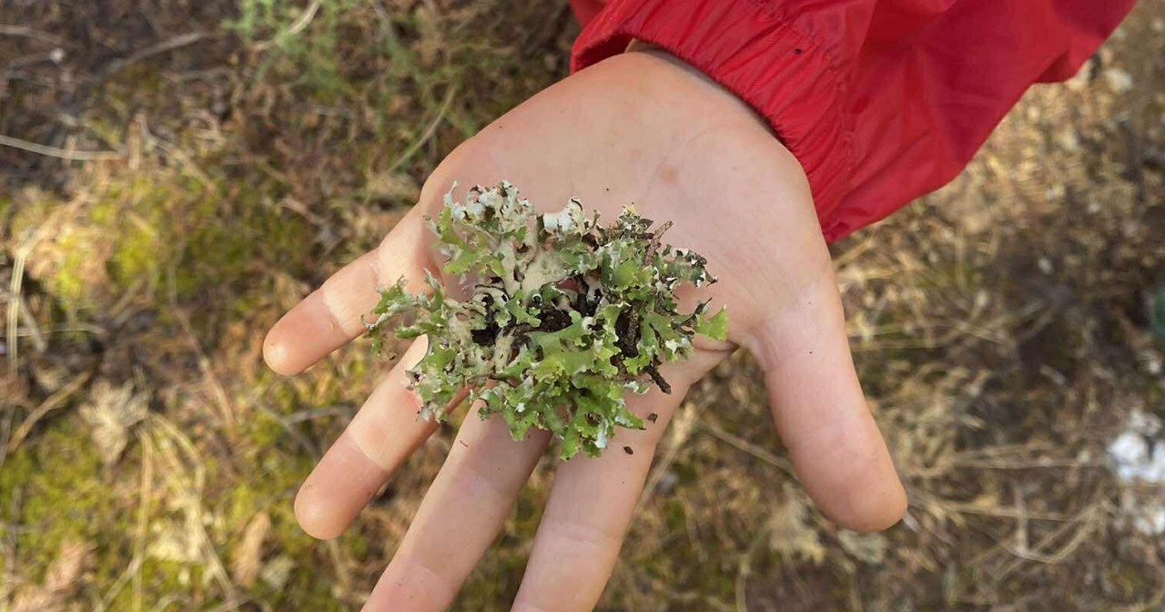 Παραστάσεις καθολικής προσβασιμότητας για την "Αλίκη" του Μικρού Εθνικού - εικόνα 3
