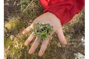 Παραστάσεις καθολικής προσβασιμότητας για την "Αλίκη" του Μικρού Εθνικού - εικόνα 3