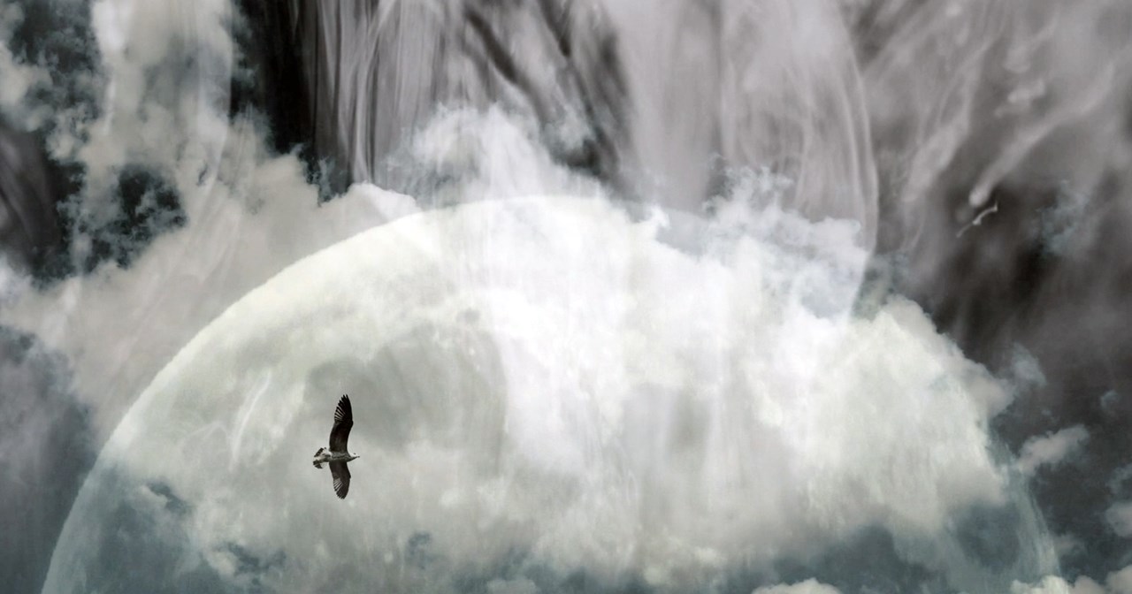 Ο Κώστας Νταλιάνης έφυγε από τη ζωή - εικόνα 3