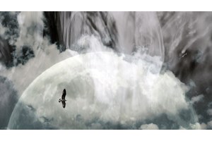 Ο Κώστας Νταλιάνης έφυγε από τη ζωή - εικόνα 3