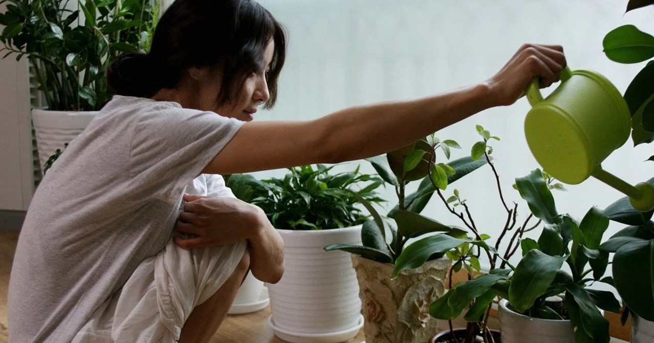 Μερικές σκέψεις για τα Νόμπελ Λογοτεχνίας, τη Χαν Γκανγκ και το Νούμερο Μηδέν - εικόνα 2