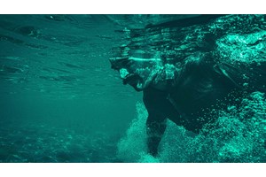 Τελευταίες παραστάσεις για "Τη Δημοπρασία" - εικόνα 2