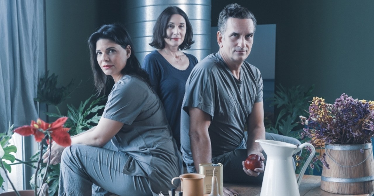 "Σκηνές από ένα γάμο": Το έργο-σημείο αναφοράς για τις συζυγικές σχέσεις ολοκληρώνει τις παραστάσεις του - εικόνα 5