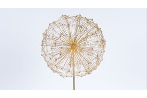 Τα μουσεία της Αθήνας τιμούν τη Διεθνή Ημέρα Μουσείων - εικόνα 7