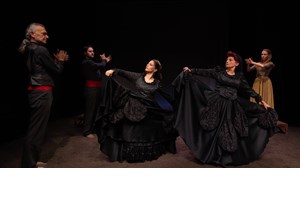 Η Φάνια Νταλιάνη για τον "Ματωμένο Γάμο" του Λόρκα - εικόνα 6