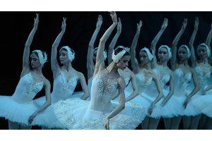 Dance Days Chania: Ο σύγχρονος χορός ως αντίδοτο στους ταραγμένους καιρούς μας - εικόνα 8