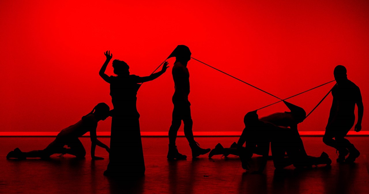 Αναβολή παραστάσεων του "ODD – Onassis Dance Days" στη Στέγη - εικόνα 3