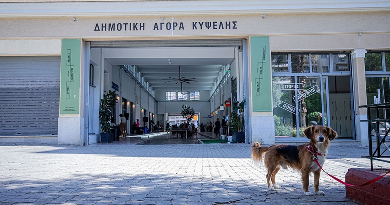 Τα εργαστήρια που ξεκινούν τον Οκτώβριο στη Δημοτική Αγορά Κυψέλης - εικόνα 1