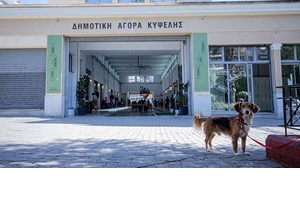 Τα εργαστήρια που ξεκινούν τον Οκτώβριο στη Δημοτική Αγορά Κυψέλης - εικόνα 1