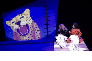 Θέατρο για εφήβους | 9 + 1 παραστάσεις για νέους που αναζητούν τη δική τους φωνή - εικόνα 13