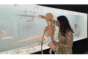 Σπύρος Κουβαράς: "Εχθρός της τέχνης είναι η μαζική κουλτούρα και η "τηλεορασικοποίηση" των παραστατικών τεχνών"" - εικόνα 4