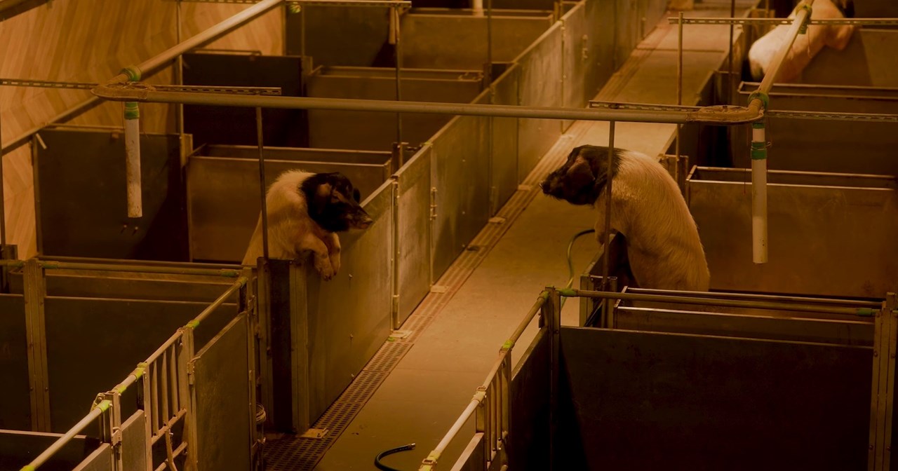 Όλα όσα δεν πρέπει να χάσεις τον Μάιο στην Αθήνα - εικόνα 17