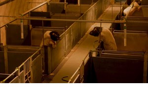 Όλα όσα δεν πρέπει να χάσεις τον Μάιο στην Αθήνα - εικόνα 17