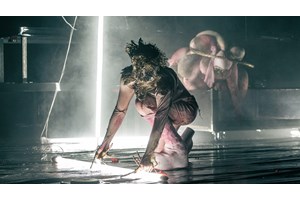 Χριστουγεννιάτικο flamenco gala - εικόνα 1