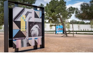 Αγαπημένα σποτ και διαδρομές για βόλτα και πεζοπορία στην πόλη - εικόνα 5