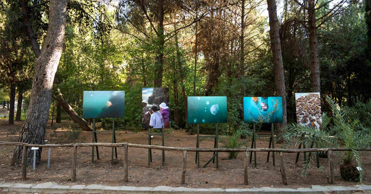 Καλοκαίρι στην πόλη: Οδηγός επιβίωσης για μικρούς και μεγάλους - εικόνα 5