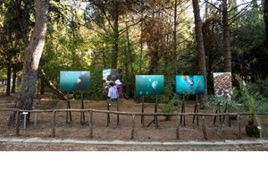 Καλοκαίρι στην πόλη: Οδηγός επιβίωσης για μικρούς και μεγάλους - εικόνα 5