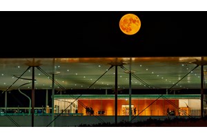 Κραυγή των ωκεανών: Αποκαλύπτοντας την επίδραση των ανθρώπων στα θαλάσσια οικοσυστήματα - εικόνα 2