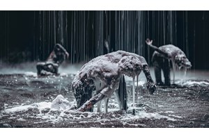 "Ο Άνθρωπος του Βιτρούβιου" του Ντα Βίντσι ζωντανεύει στη σκηνή - εικόνα 4