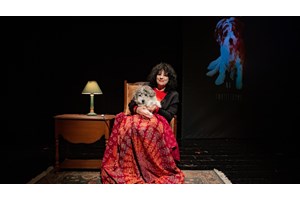 Πρεμιέρες: Οι νέες θεατρικές παραστάσεις της εβδομάδας - εικόνα 7