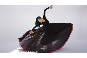 Σεμινάριο Αρχαίου Δράματος με την Άννα Βαγενά: Εκάβη και η δύναμη της εκδίκησης - εικόνα 2