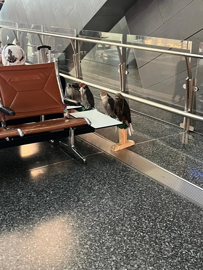 QATAR AIRPORT