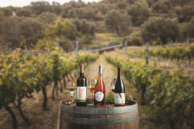 8 ελληνικά οινοποιεία που αξίζει να επισκεφθείς_Οινοποιείο Κουρτέση στην Άνδρο 2