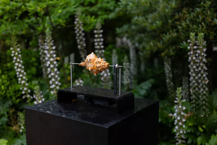 Moritz Simon Geist, "Hard Times"