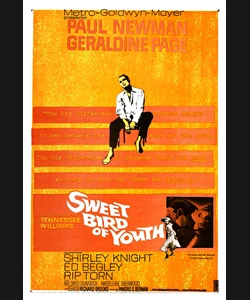 ΤΟ ΓΛΥΚΟ ΠΟΥΛΙ ΤΗΣ ΝΙΟΤΗΣ