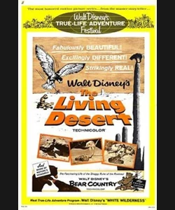 Η ΖΩΝΤΑΝΗ ΕΡΗΜΟΣ